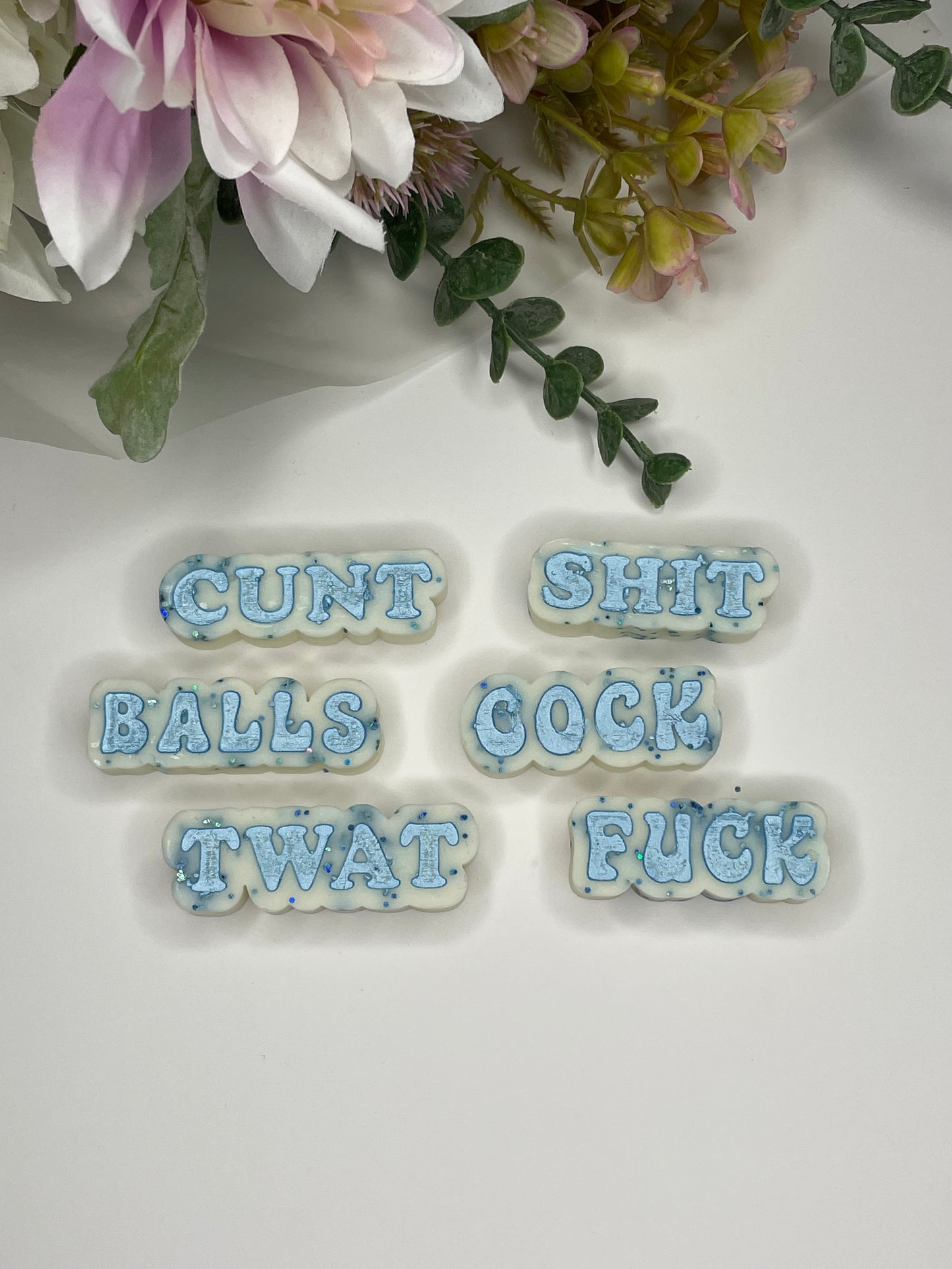 Pack of 6 Swear Words